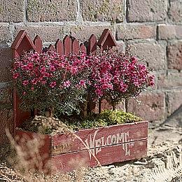 《黎明行者之血》开发商称开发顺利 未受网易影响